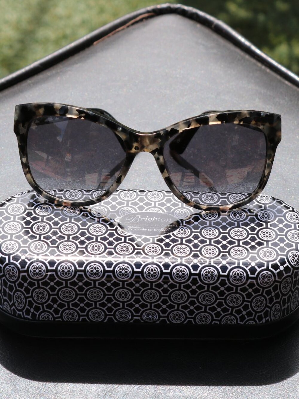 Brighton Ferrara Gatta Sunglasses